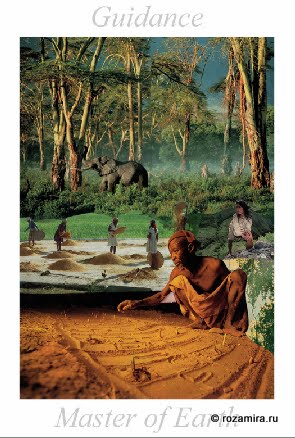 Nature Tarot by Jan Strube